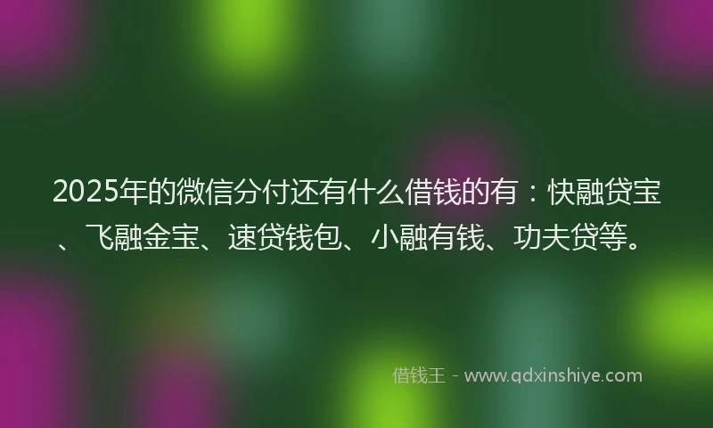 2025年的微信分付还有什么借钱的有：快融贷宝、飞融金宝、速贷钱包、小融有钱、功夫贷等。