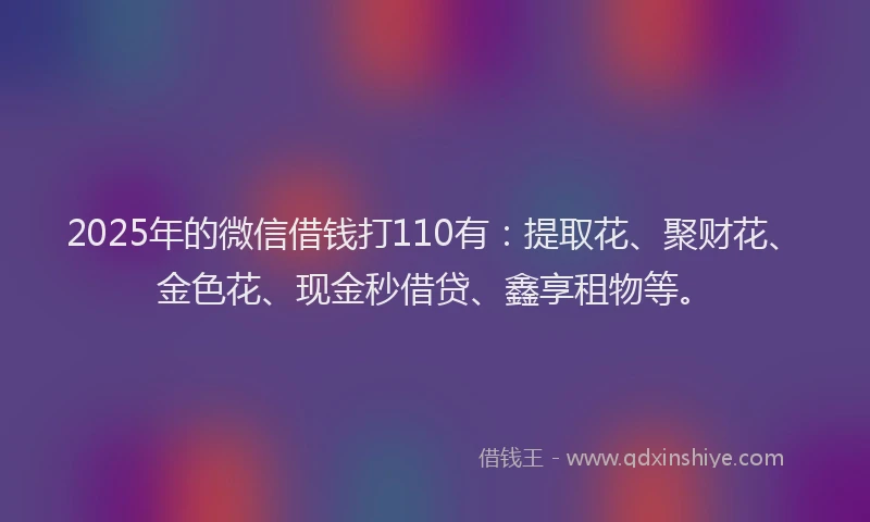 2025年的微信借钱打110有：提取花、聚财花、金色花、现金秒借贷、鑫享租物等。