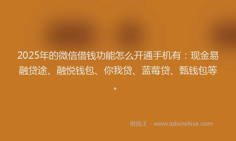 2025年的微信借钱功能怎么开通手机有：现金易融贷途、融悦钱包、你我贷、蓝莓贷、甄钱包等。