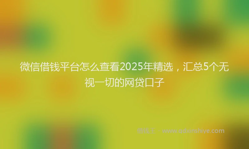 微信借钱平台怎么查看2025年精选，汇总5个无视一切的网贷口子