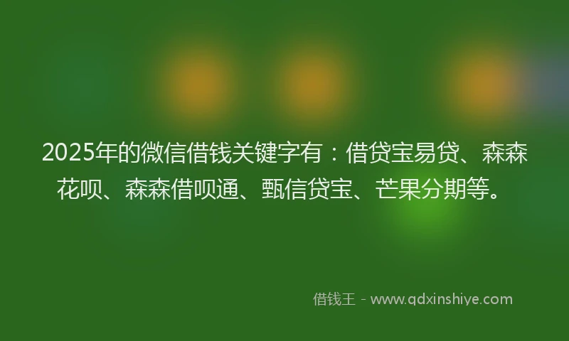 2025年的微信借钱关键字有：借贷宝易贷、森森花呗、森森借呗通、甄信贷宝、芒果分期等。