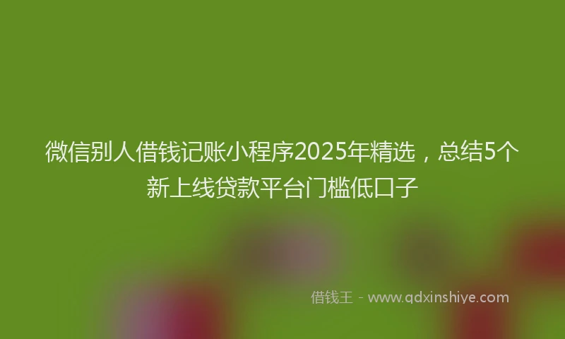 微信别人借钱记账小程序2025年精选，总结5个新上线贷款平台门槛低口子
