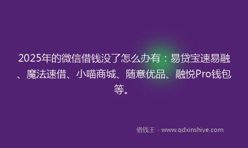 2025年的微信借钱没了怎么办有：易贷宝速易融、魔法速借、小喵商城、随意优品、融悦Pro钱包等。