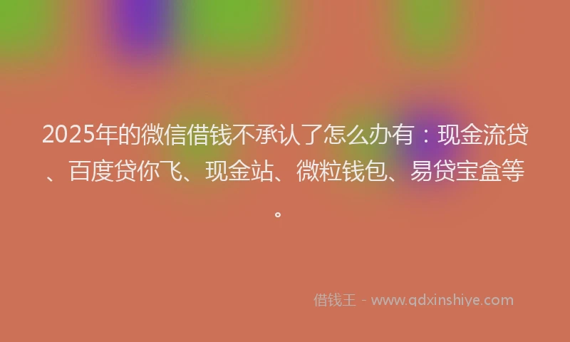2025年的微信借钱不承认了怎么办有：现金流贷、百度贷你飞、现金站、微粒钱包、易贷宝盒等。
