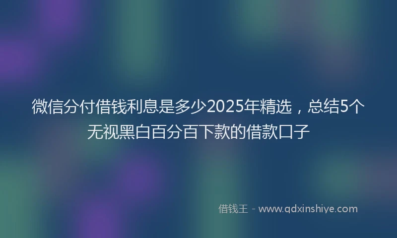 微信分付借钱利息是多少2025年精选，总结5个无视黑白百分百下款的借款口子