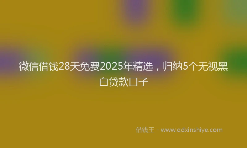 微信借钱28天免费2025年精选，归纳5个无视黑白贷款口子