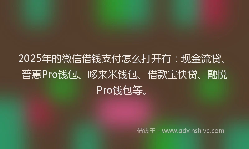 2025年的微信借钱支付怎么打开有：现金流贷、普惠Pro钱包、哆来米钱包、借款宝快贷、融悦Pro钱包等。