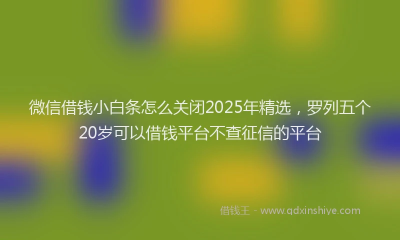 微信借钱小白条怎么关闭2025年精选，罗列五个20岁可以借钱平台不查征信的平台