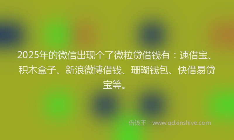 2025年的微信出现个了微粒贷借钱有：速借宝、积木盒子、新浪微博借钱、珊瑚钱包、快借易贷宝等。