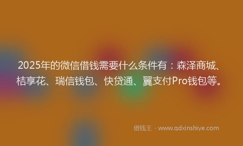 2025年的微信借钱需要什么条件有：森泽商城、桔享花、瑞信钱包、快贷通、翼支付Pro钱包等。