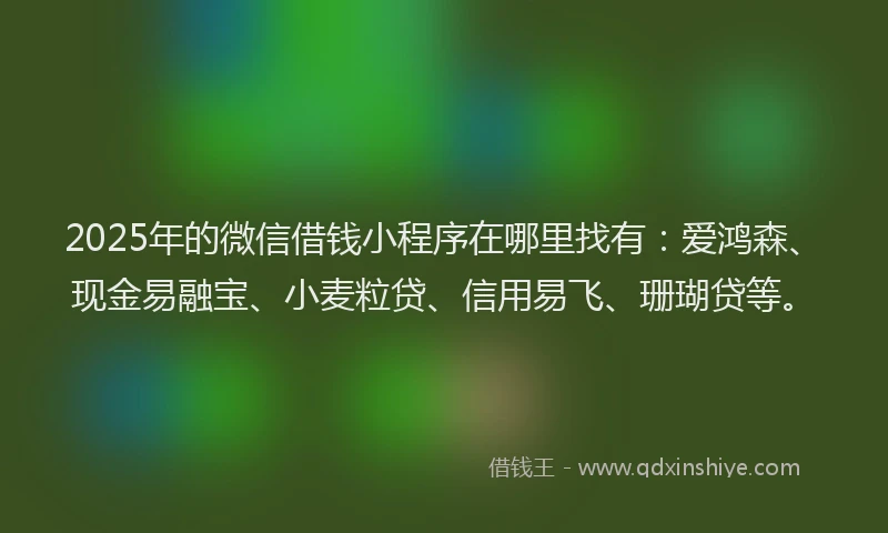 2025年的微信借钱小程序在哪里找有：爱鸿森、现金易融宝、小麦粒贷、信用易飞、珊瑚贷等。