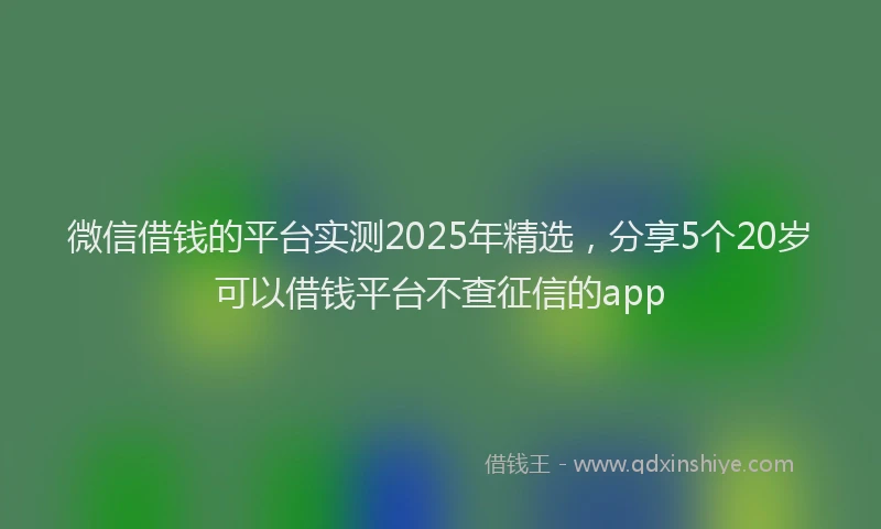 微信借钱的平台实测2025年精选，分享5个20岁可以借钱平台不查征信的app