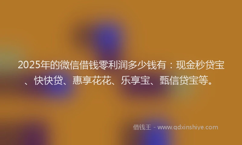 2025年的微信借钱零利润多少钱有：现金秒贷宝、快快贷、惠享花花、乐享宝、甄信贷宝等。
