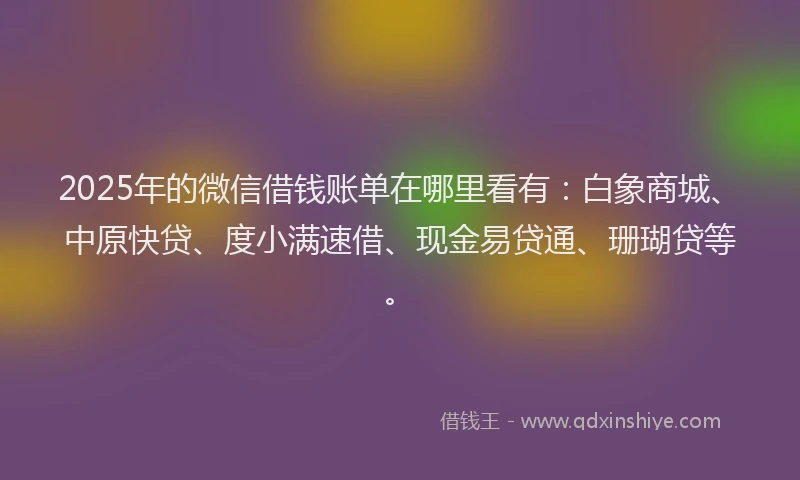 2025年的微信借钱账单在哪里看有：白象商城、中原快贷、度小满速借、现金易贷通、珊瑚贷等。