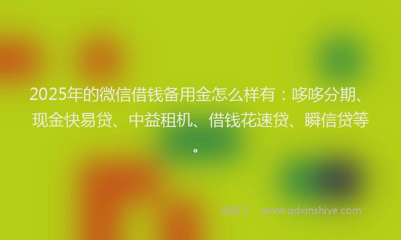 2025年的微信借钱备用金怎么样有：哆哆分期、现金快易贷、中益租机、借钱花速贷、瞬信贷等。