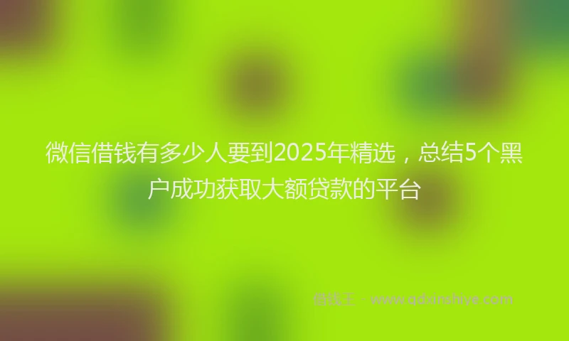微信借钱有多少人要到2025年精选，总结5个黑户成功获取大额贷款的平台