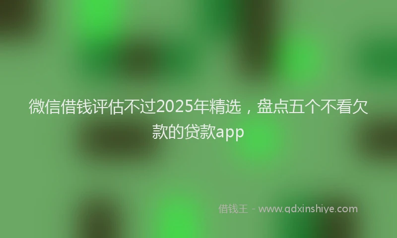 微信借钱评估不过2025年精选，盘点五个不看欠款的贷款app