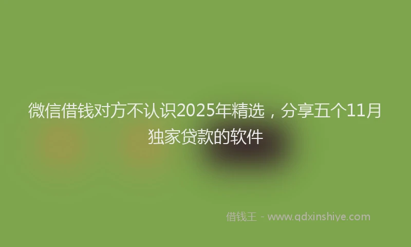 微信借钱对方不认识2025年精选，分享五个11月独家贷款的软件