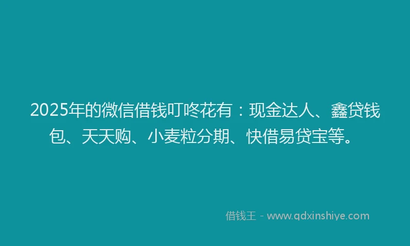 2025年的微信借钱叮咚花有：现金达人、鑫贷钱包、天天购、小麦粒分期、快借易贷宝等。