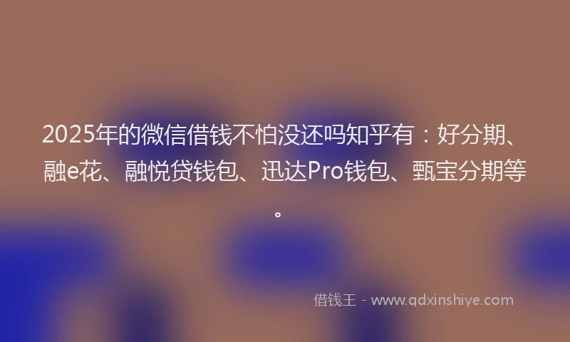 2025年的微信借钱不怕没还吗知乎有：好分期、融e花、融悦贷钱包、迅达Pro钱包、甄宝分期等。