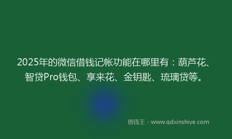 2025年的微信借钱记帐功能在哪里有：葫芦花、智贷Pro钱包、享来花、金钥匙、琉璃贷等。