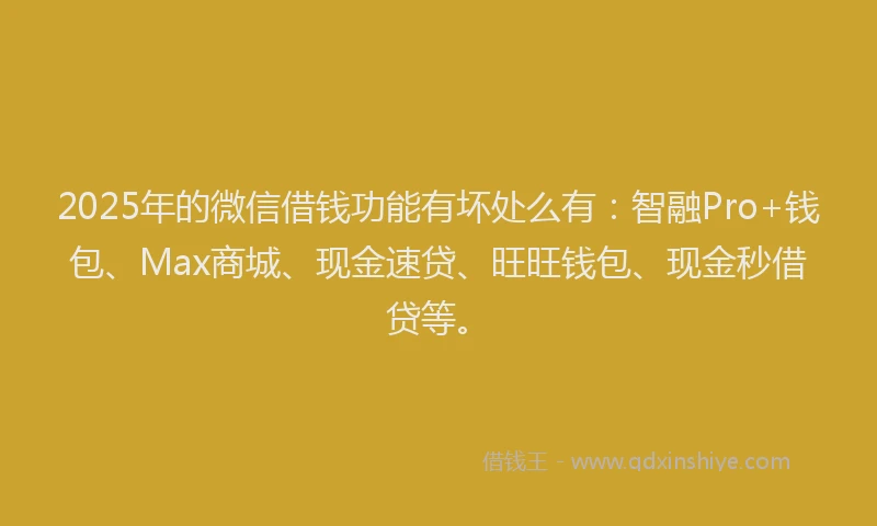 2025年的微信借钱功能有坏处么有：智融Pro+钱包、Max商城、现金速贷、旺旺钱包、现金秒借贷等。
