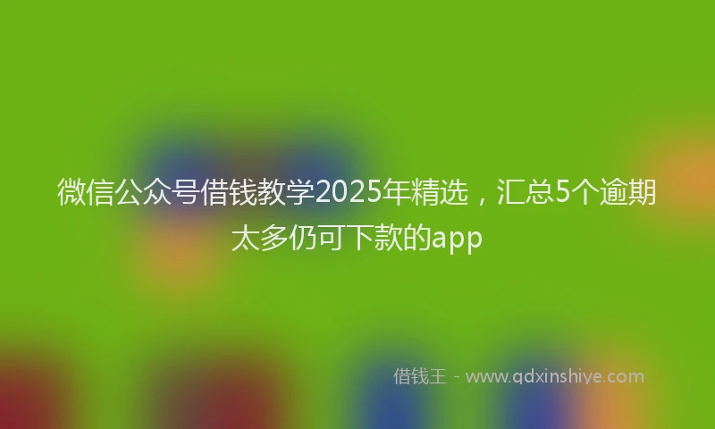 微信公众号借钱教学2025年精选，汇总5个逾期太多仍可下款的app