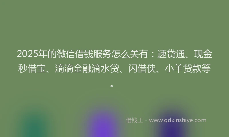 2025年的微信借钱服务怎么关有：速贷通、现金秒借宝、滴滴金融滴水贷、闪借侠、小羊贷款等。