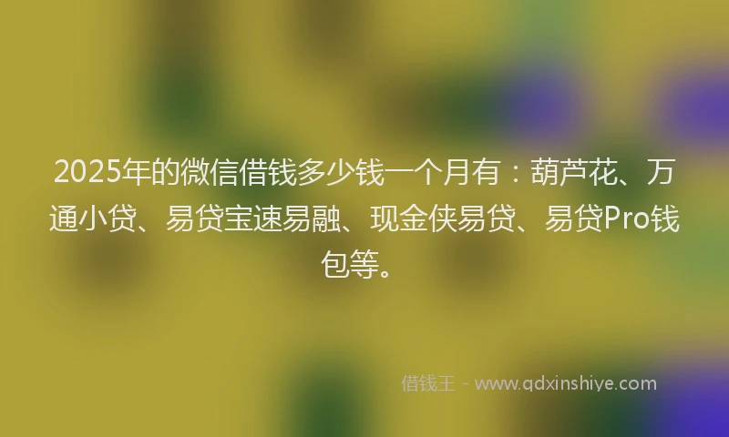 2025年的微信借钱多少钱一个月有：葫芦花、万通小贷、易贷宝速易融、现金侠易贷、易贷Pro钱包等。