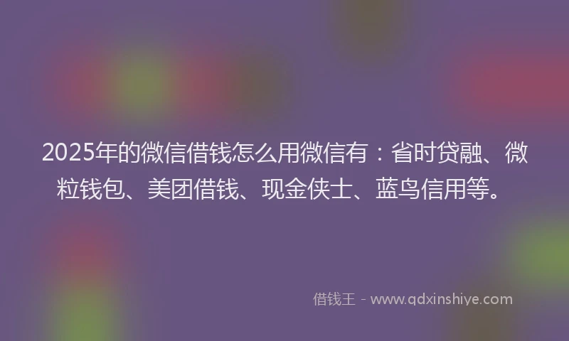 2025年的微信借钱怎么用微信有：省时贷融、微粒钱包、美团借钱、现金侠士、蓝鸟信用等。