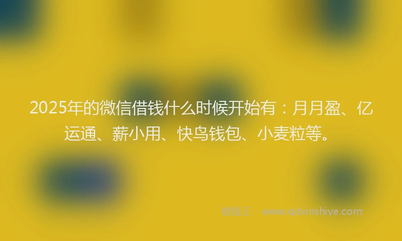 2025年的微信借钱什么时候开始有：月月盈、亿运通、薪小用、快鸟钱包、小麦粒等。