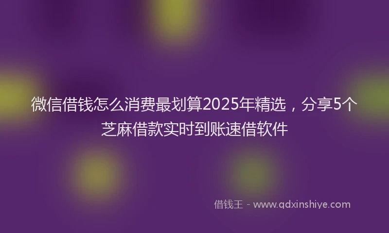微信借钱怎么消费最划算2025年精选，分享5个芝麻借款实时到账速借软件
