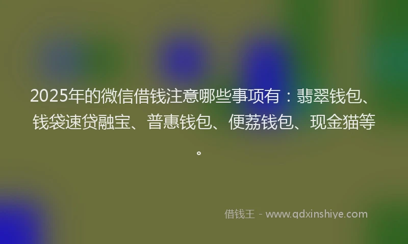 2025年的微信借钱注意哪些事项有：翡翠钱包、钱袋速贷融宝、普惠钱包、便荔钱包、现金猫等。