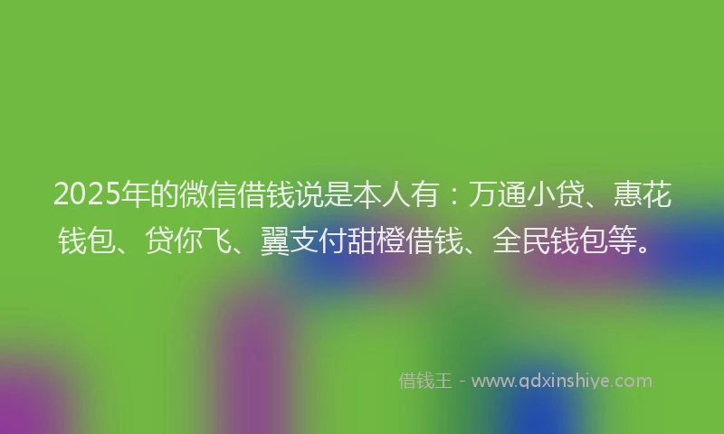 2025年的微信借钱说是本人有：万通小贷、惠花钱包、贷你飞、翼支付甜橙借钱、全民钱包等。