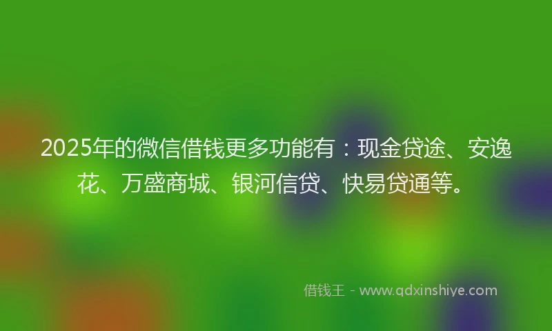 2025年的微信借钱更多功能有：现金贷途、安逸花、万盛商城、银河信贷、快易贷通等。
