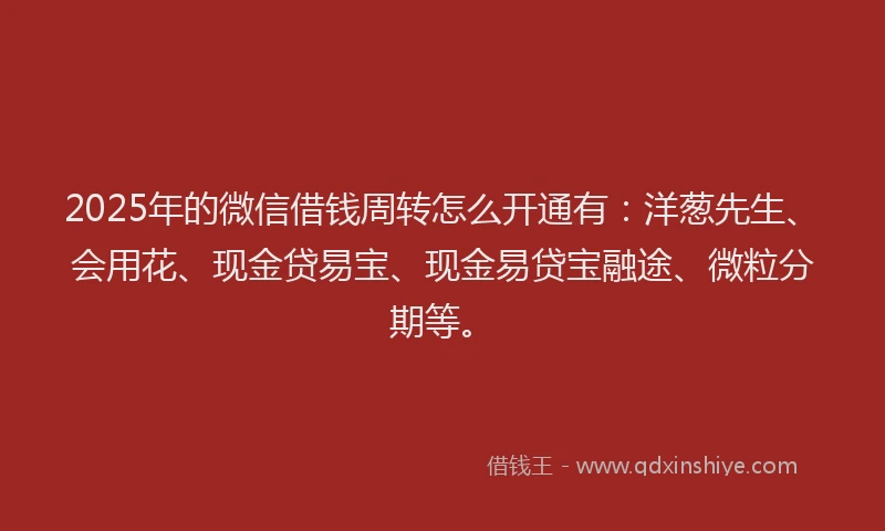 2025年的微信借钱周转怎么开通有：洋葱先生、会用花、现金贷易宝、现金易贷宝融途、微粒分期等。
