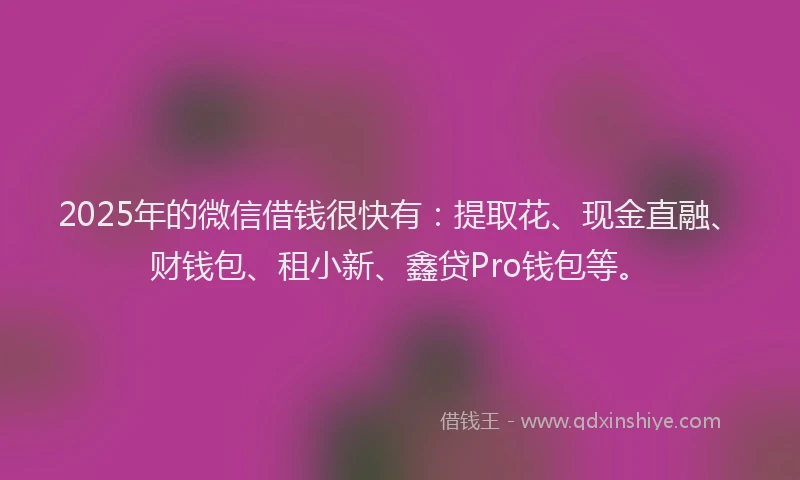 2025年的微信借钱很快有：提取花、现金直融、财钱包、租小新、鑫贷Pro钱包等。