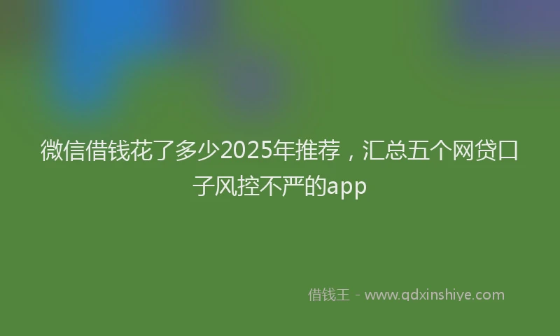 微信借钱花了多少2025年推荐，汇总五个网贷口子风控不严的app