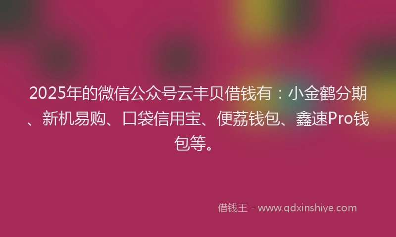 2025年的微信公众号云丰贝借钱有：小金鹤分期、新机易购、口袋信用宝、便荔钱包、鑫速Pro钱包等。