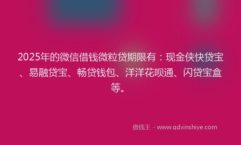2025年的微信借钱微粒贷期限有：现金侠快贷宝、易融贷宝、畅贷钱包、洋洋花呗通、闪贷宝盒等。