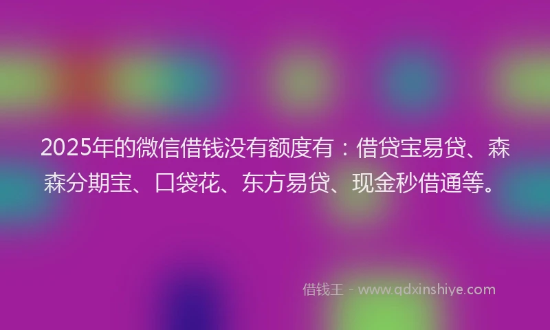 2025年的微信借钱没有额度有：借贷宝易贷、森森分期宝、口袋花、东方易贷、现金秒借通等。