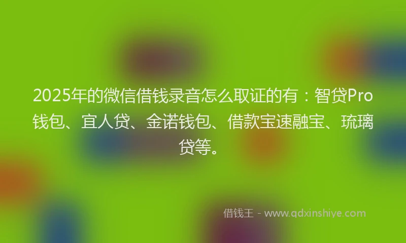 2025年的微信借钱录音怎么取证的有：智贷Pro钱包、宜人贷、金诺钱包、借款宝速融宝、琉璃贷等。