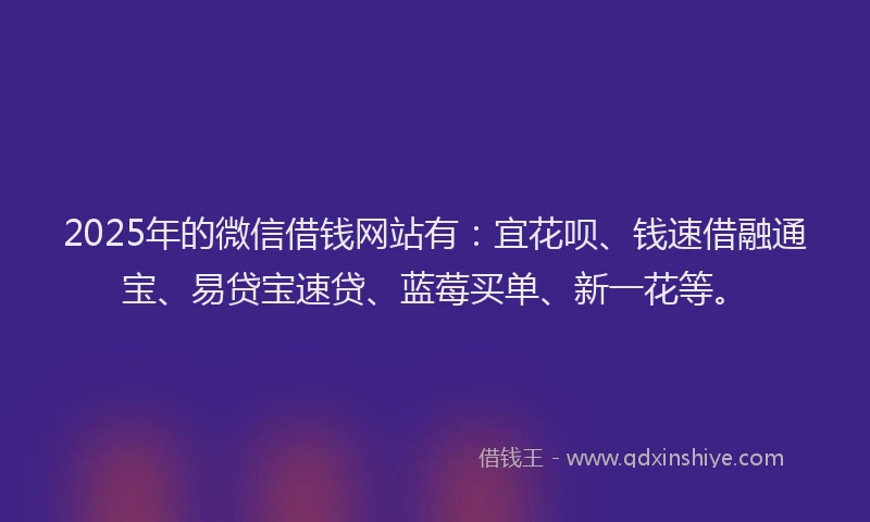 2025年的微信借钱网站有：宜花呗、钱速借融通宝、易贷宝速贷、蓝莓买单、新一花等。