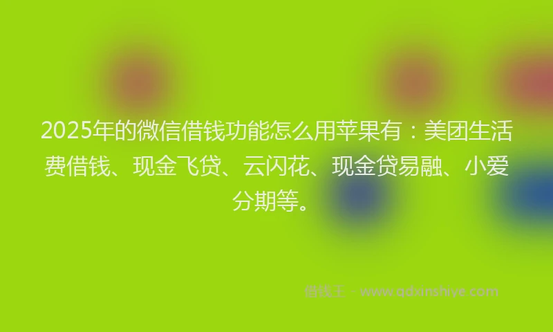 2025年的微信借钱功能怎么用苹果有：美团生活费借钱、现金飞贷、云闪花、现金贷易融、小爱分期等。