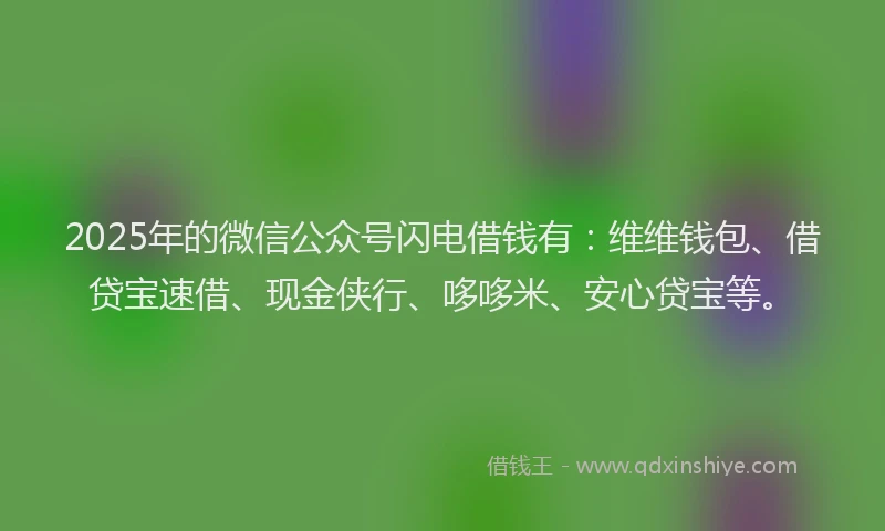 2025年的微信公众号闪电借钱有：维维钱包、借贷宝速借、现金侠行、哆哆米、安心贷宝等。