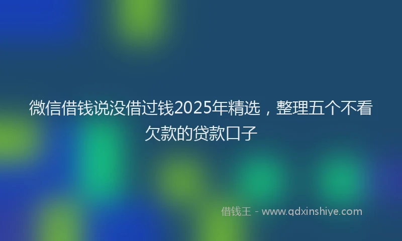 微信借钱说没借过钱2025年精选，整理五个不看欠款的贷款口子