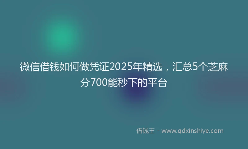 微信借钱如何做凭证2025年精选，汇总5个芝麻分700能秒下的平台