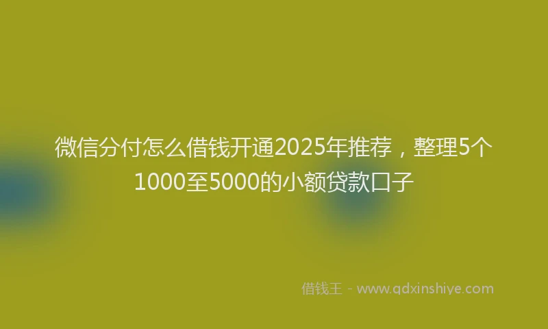 微信分付怎么借钱开通2025年推荐，整理5个1000至5000的小额贷款口子