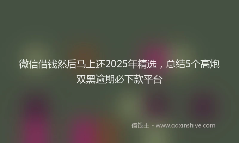 微信借钱然后马上还2025年精选，总结5个高炮双黑逾期必下款平台