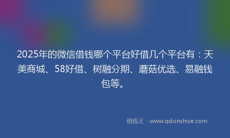 2025年的微信借钱哪个平台好借几个平台有：天美商城、58好借、树融分期、蘑菇优选、易融钱包等。